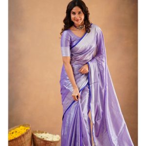 Banarasi Crush Embellished Saree