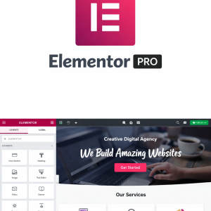 Elementor Pro